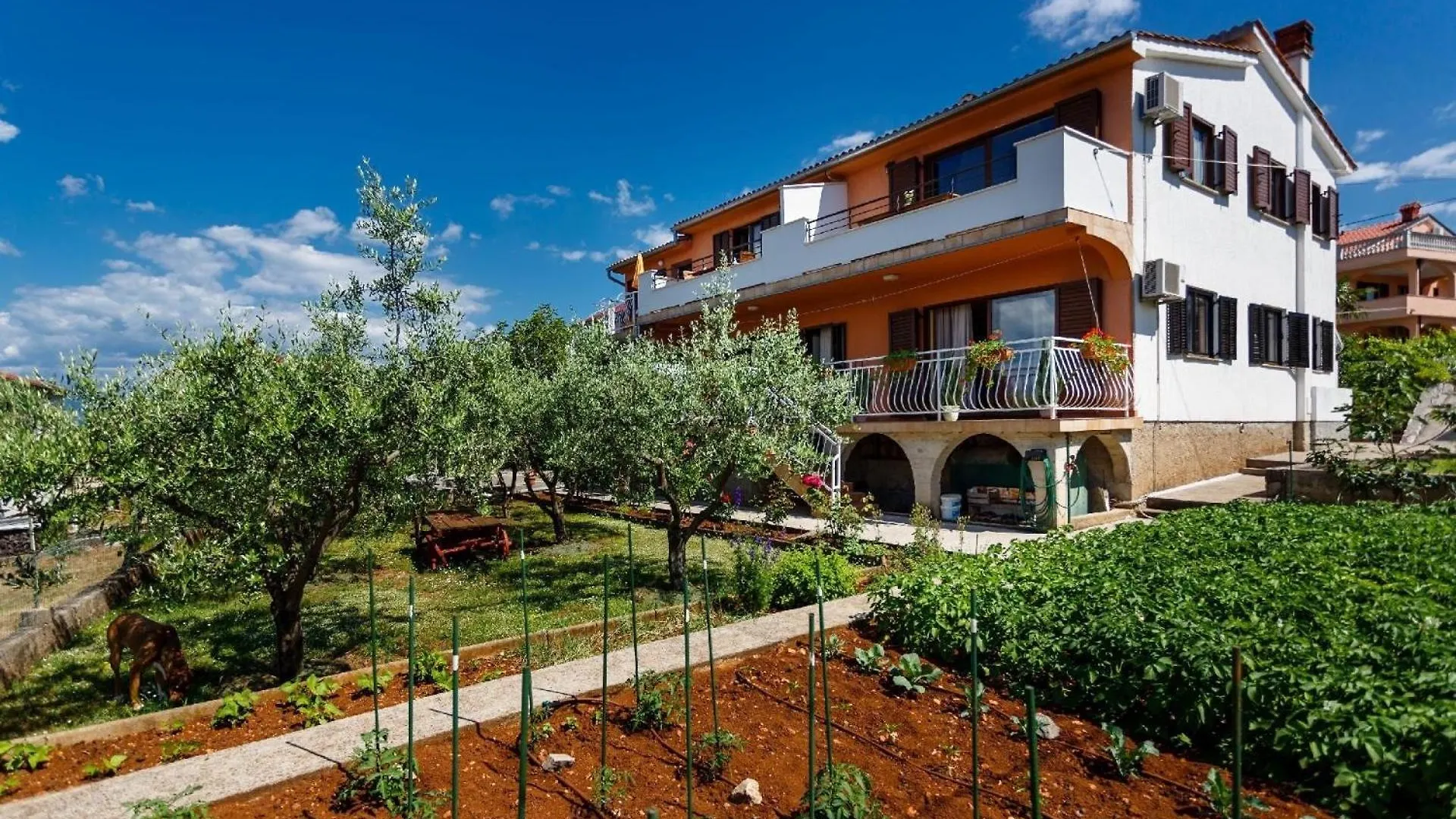 Apartment Studio Fuer 2 Personen Ca 26 Qm In Njivice, Kvarner Bucht Krk